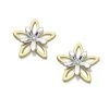 9ct Gold Two Colour Flower Stud Earrings - 8mm - G0165