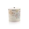 Disney Magical Beginnings DI408 Dumbo Ceramic Money Box - P1124