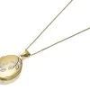 9ct Gold Two Colour Oval Leaf Locket And Chain - R7246