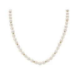 9ct Gold Freshwater Pearl And Rondelle Necklet - 18in - R7771