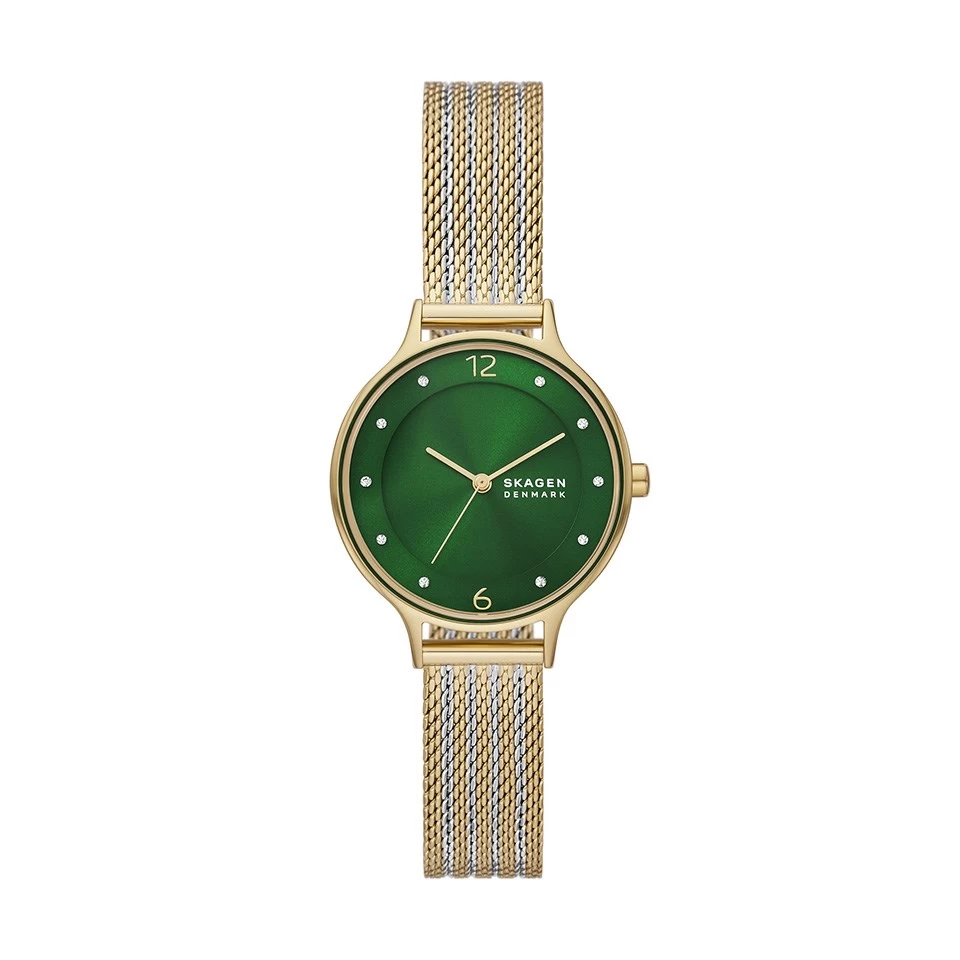 Skagen SKW3063 Anita Two Tone Green Dial Mesh Bracelet Watch - W06291