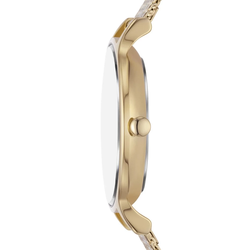 Skagen SKW3063 Anita Two Tone Green Dial Mesh Bracelet Watch - W06291 - Image 4