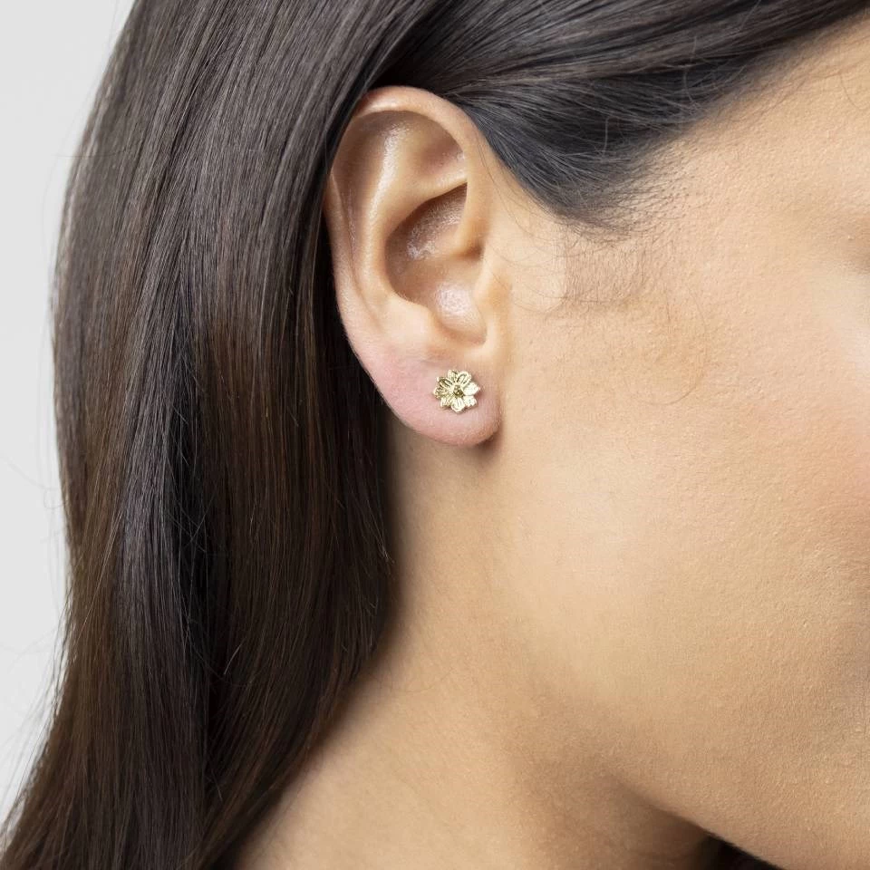 Radley RY21680A-SET2 Earrings, Bracelet And Watch Gift Set - W51411 - Image 5